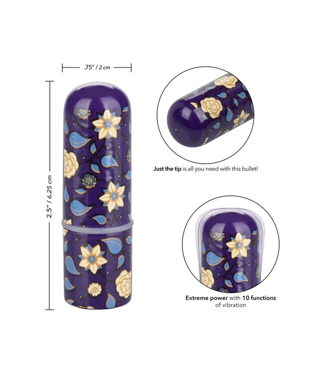 CalExotics Naughty Bits Just The Tip Bullet Vibrator