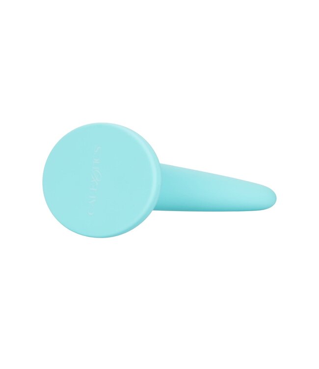 CalExotics She-ology 5-piece Wearable Vaginal Dilator Set