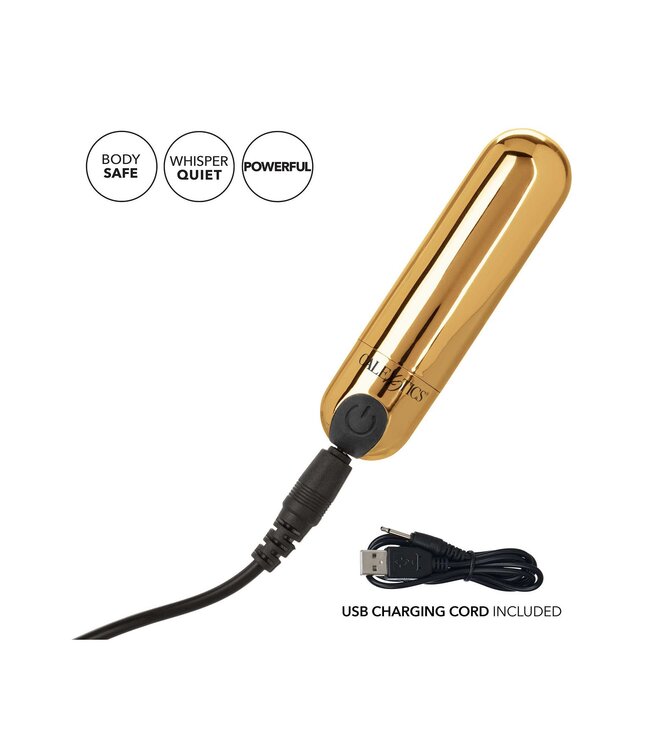 CalExotics Rechargeable Hideaway Bullet