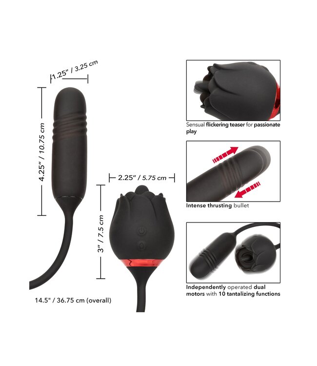 CalExotics French Kiss Elite Romeo