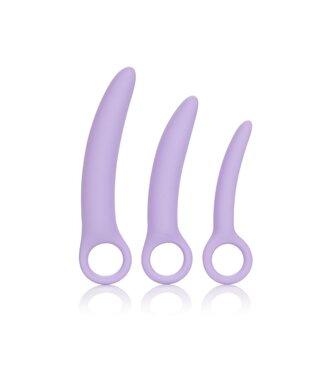 CalExotics Dr. Laura Berman Alena Set of 3 Silicone Dilators