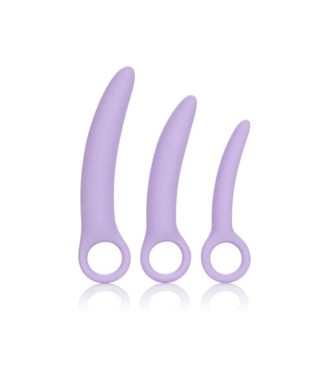 CalExotics Dr. Laura Berman Alena Set of 3 Silicone Dilators