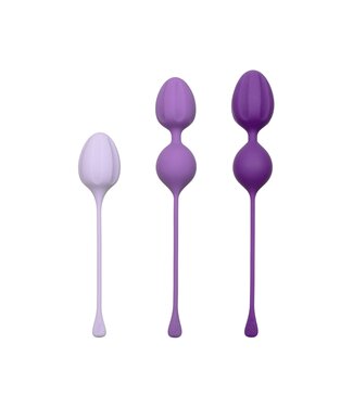 CalExotics Kegel Training 3-Piece Set