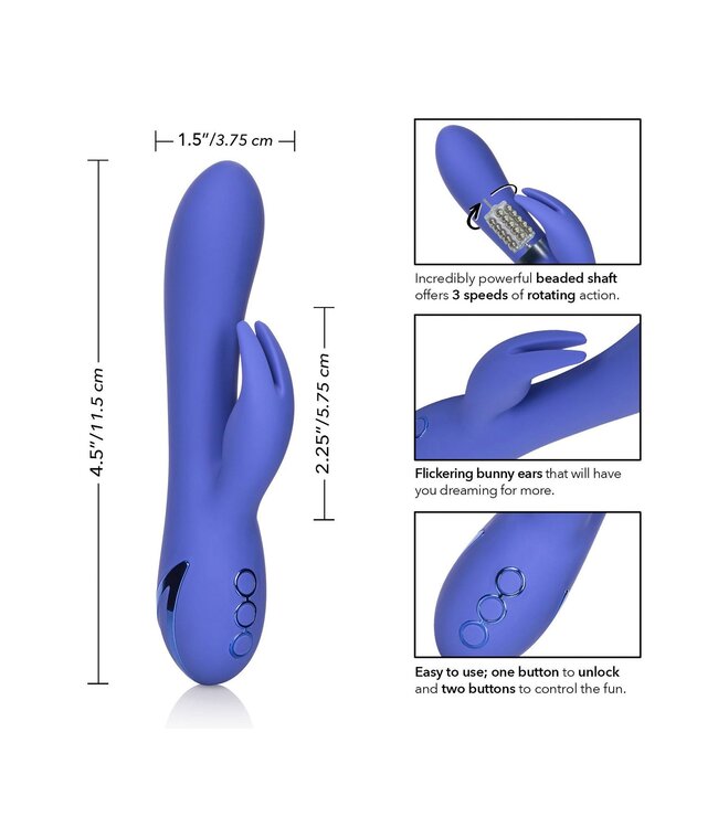 CalExotics California Dreaming Beverly Hills Bunny