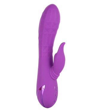 CalExotics California Dreaming Valley Vamp