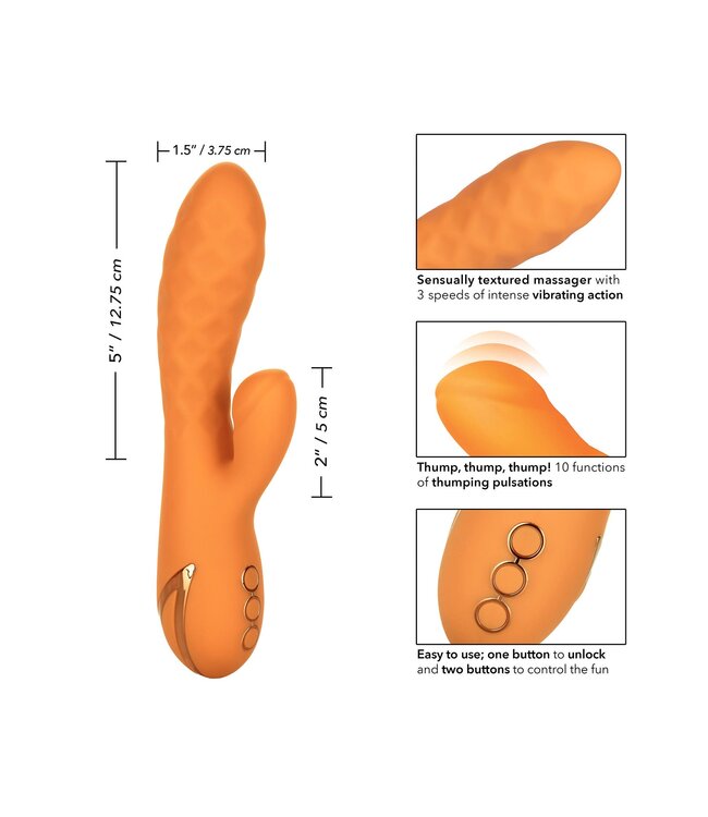 CalExotics California Dreaming Newport Beach Babe