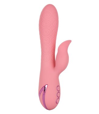 CalExotics California Dreaming Pasadena Player