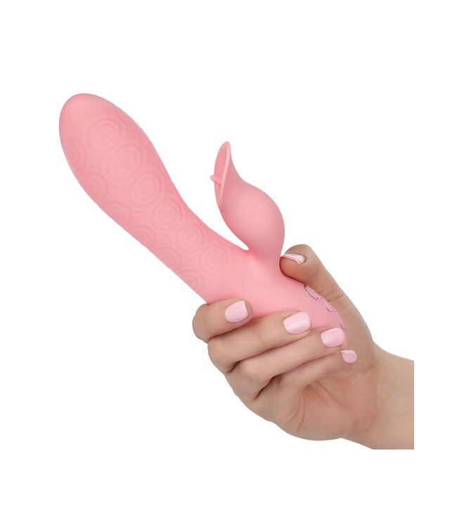 CalExotics California Dreaming Pasadena Player