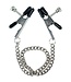 CalExotics Nipple Play Bull Nose Nipple Clamps