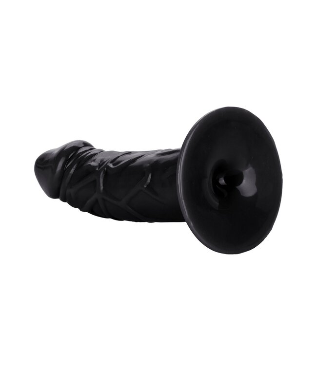 CalExotics Back End Chubby