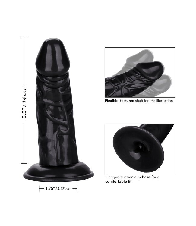 CalExotics Back End Chubby