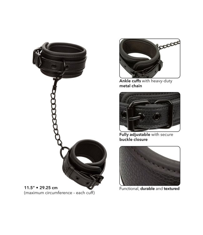 CalExotics Nocturnal Collection  Ankle Cuffs