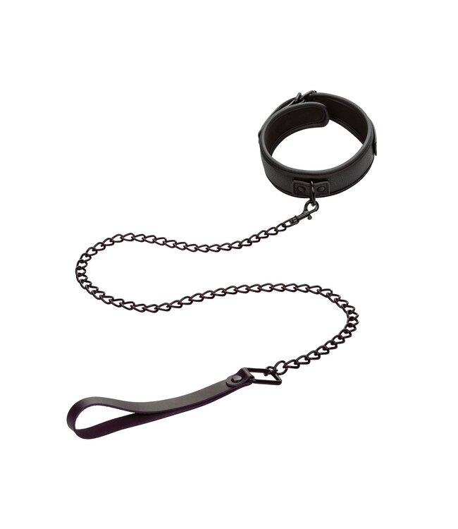 CalExotics Nocturnal Collection  Collar & Leash