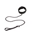 CalExotics Nocturnal Collection  Collar & Leash