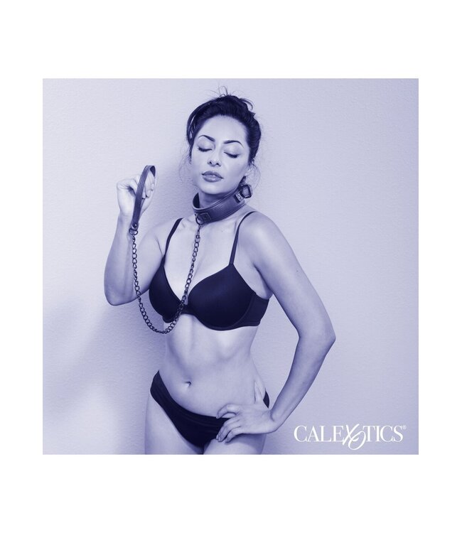 CalExotics Nocturnal Collection  Collar & Leash