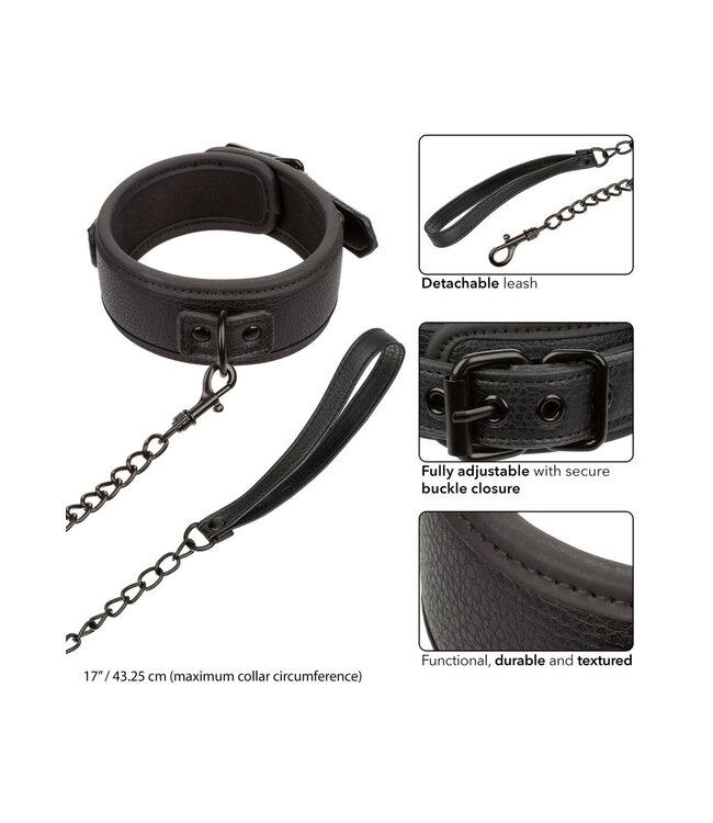 CalExotics Nocturnal Collection  Collar & Leash