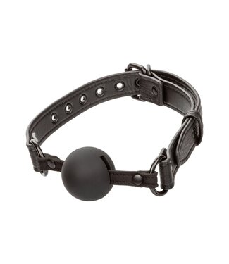 CalExotics Nocturnal Collection  Ball Gag