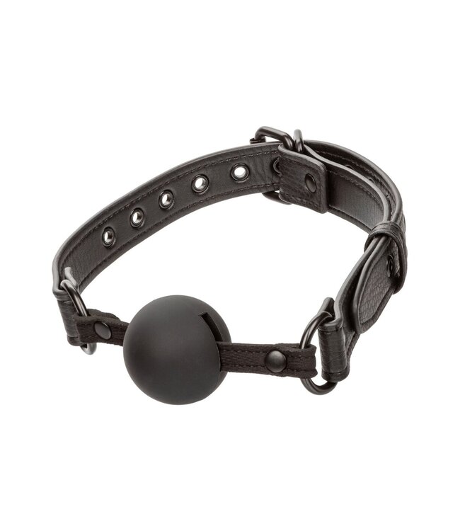 CalExotics Nocturnal Collection  Ball Gag