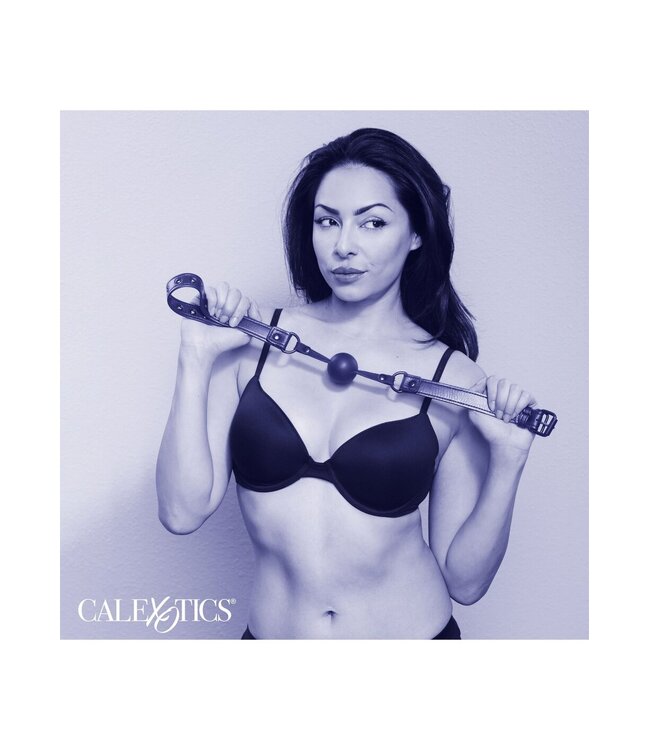 CalExotics Nocturnal Collection  Ball Gag