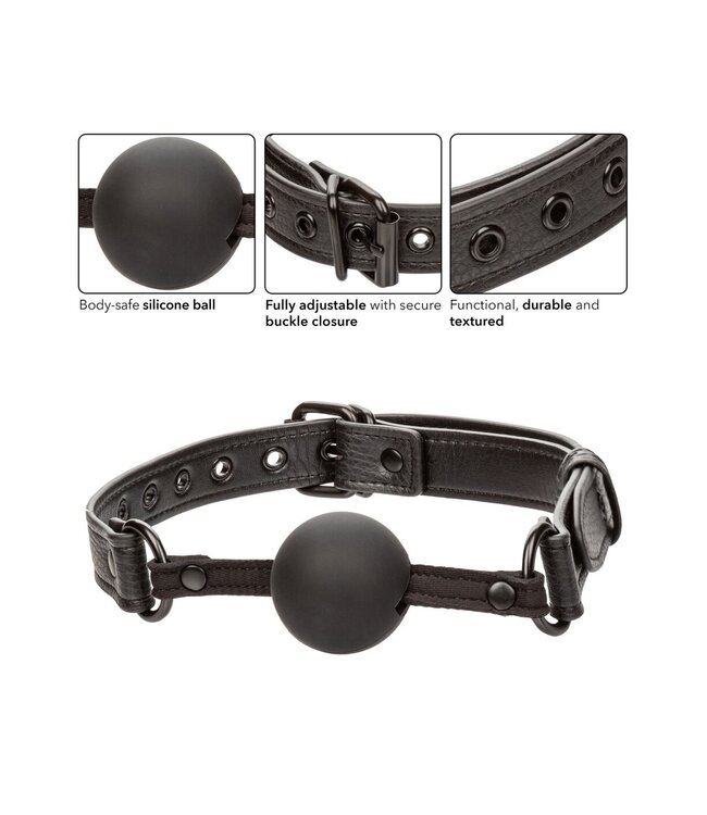 CalExotics Nocturnal Collection  Ball Gag