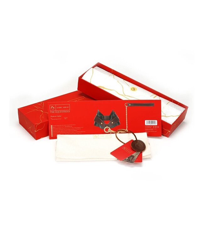 Rimba Liebe Seele - Leren Postuurhalsband met Riem - Zwart, Bruin & Goud