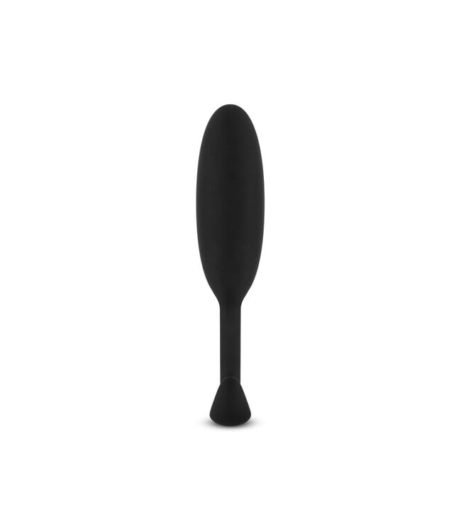 Easytoys Anal Collection Heavy Fulfiller - Butt Plug Met Gewicht - Small