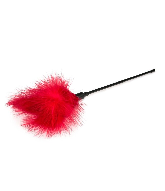Easytoys Fetish Collection Easytoys Fetish - Rode kietelaar - lang