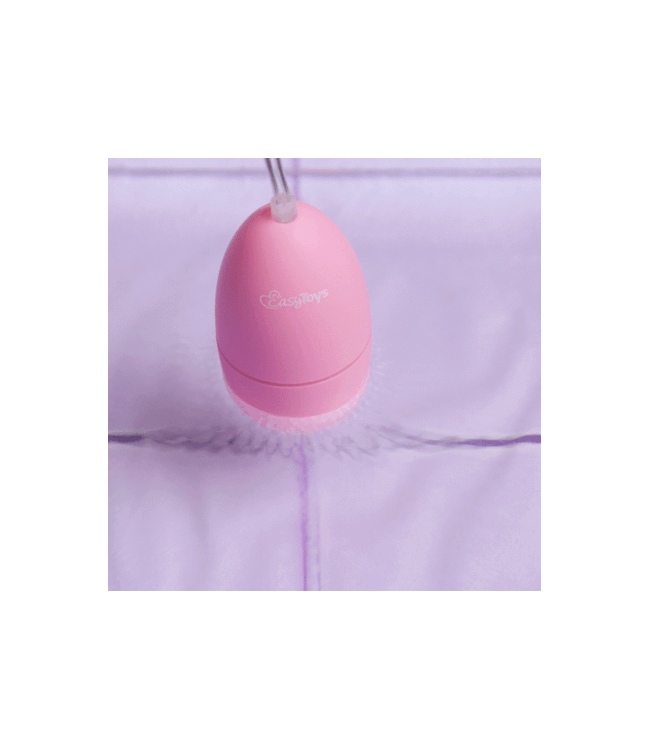 Easytoys Mini Vibe Collection EasyToys - Vibratie Ei - Paars