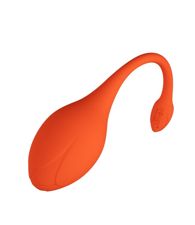 HoneyPlayBox HoneyPlayBox - LILI App-bestuurde Eivibrator Oranje