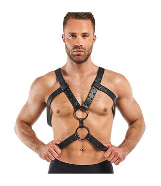 Bedroom Fantasies Rocco Bondage Harnas - Zwart