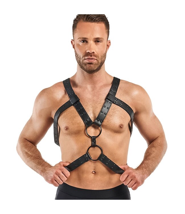Bedroom Fantasies Rocco Bondage Harnas - Zwart