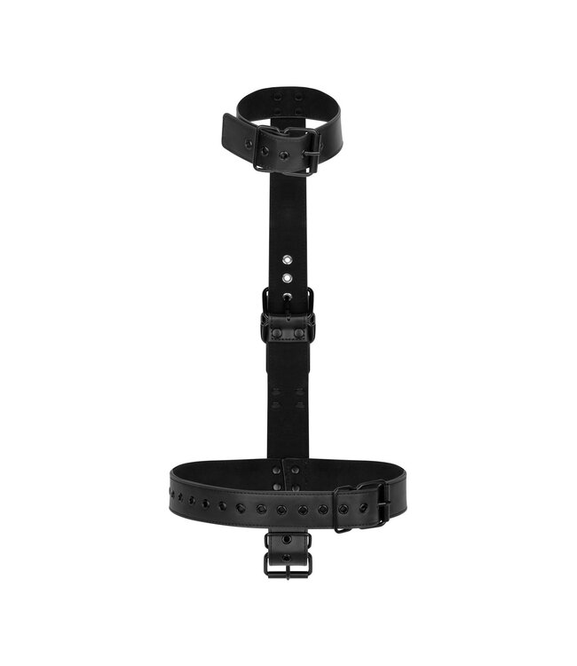 Bedroom Fantasies Halsband Met Polsboeien Body Restraint Set