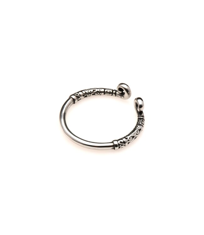 XR Brands Master Series - Roestvrijstalen Glansring - Zilver