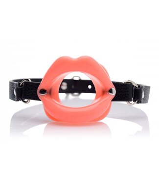 XR Brands Master Series - Sissy Mond Gag