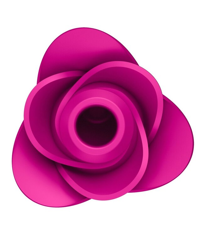 Satisfyer Satisfyer Pro 2 Modern Blossom