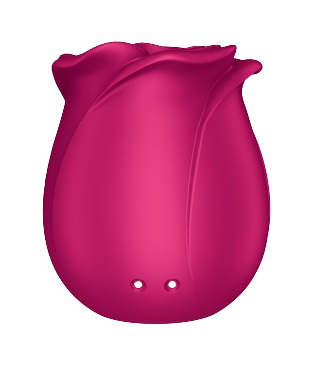 Satisfyer Satisfyer Pro 2 Classic Blossom