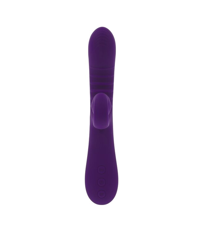 Playboy Playboy - Curlicue - Paars
