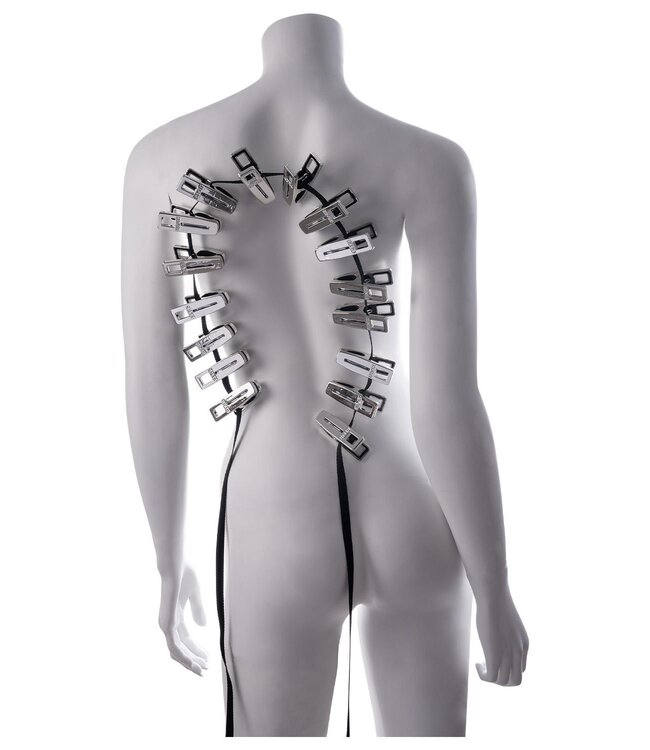 Sportsheets SPORTSHEETS EDGE BODY ZIPPER CLOTHES PINS