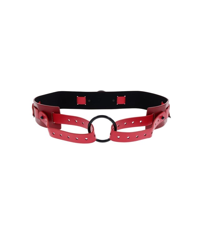 Sportsheets SPORTSHEETS EX'S AND OH'S BOUND AND BELTED
