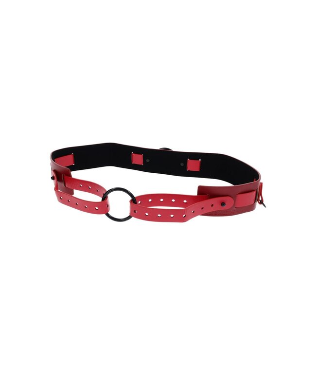 Sportsheets SPORTSHEETS EX'S AND OH'S BOUND AND BELTED
