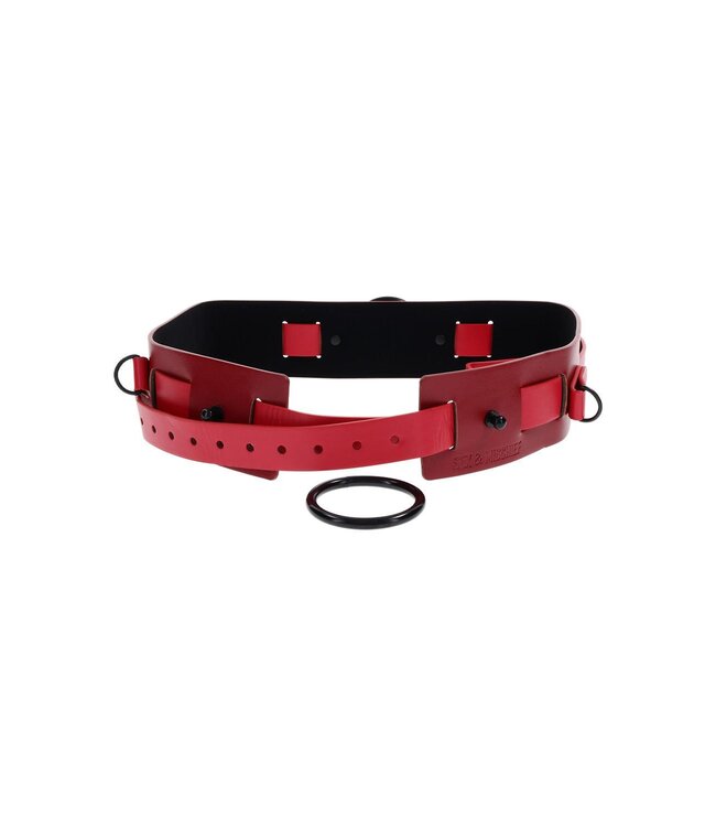 Sportsheets SPORTSHEETS EX'S AND OH'S BOUND AND BELTED