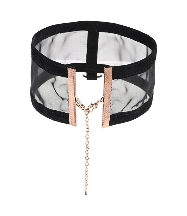 Sportsheets SEX AND MISCHIEF SHEER DAY COLLAR