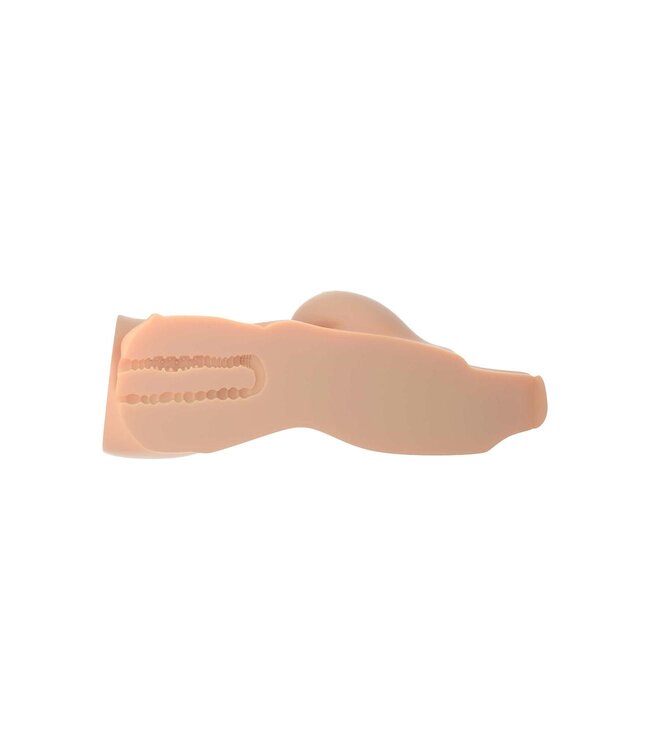 Pipedream PDX PLUS PERFECT 10 TORSO LIGHT