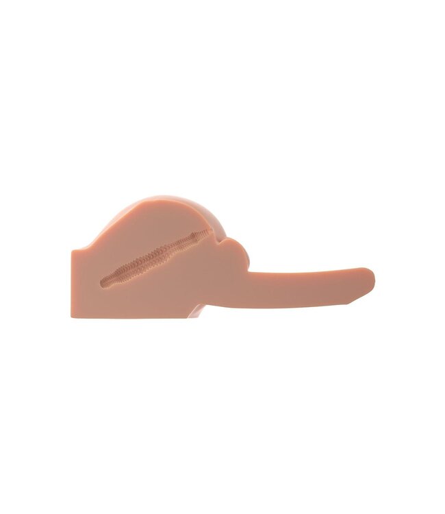 Pipedream PDX MALE DIRTY TALK INTERACTIVE BAD BOY LIGHT