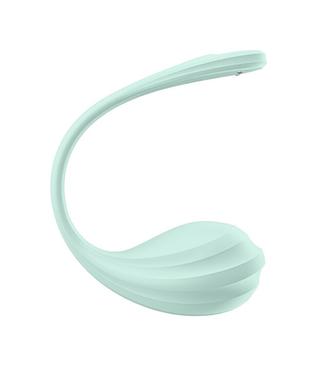 Satisfyer SATISFYER SMOOTH PETAL CONNECT APP MINT