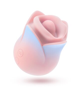 Blush BLUSH COLLECTION KISSING ROSE PINK