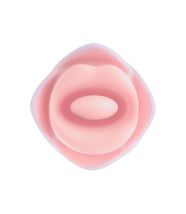 Blush BLUSH COLLECTION KISSING ROSE PINK