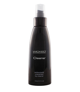 Wicked Sensual Care WICKED ANTI-BACTERIAL TOY CLEANER 120ML