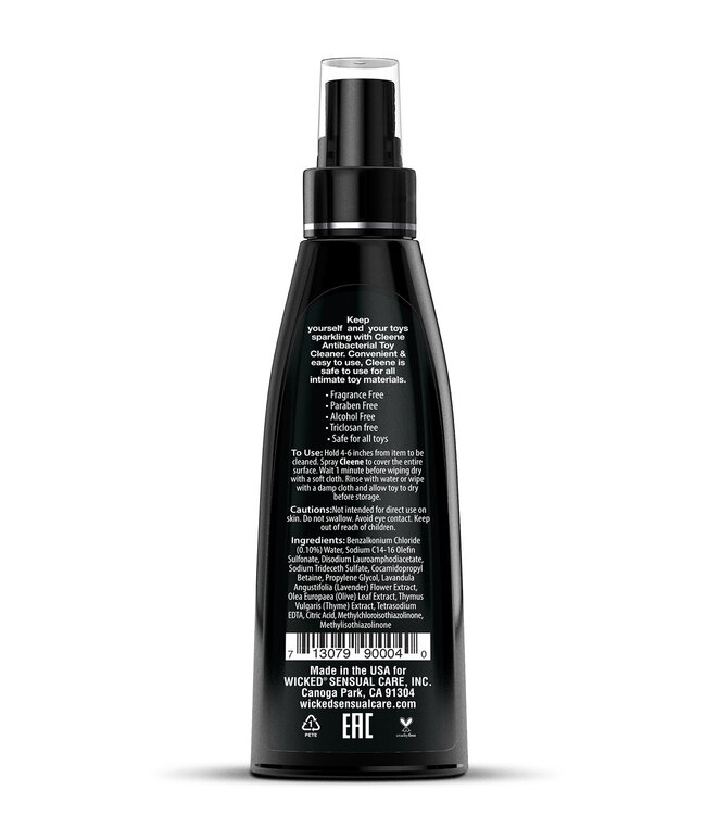 Wicked Sensual Care WICKED ANTI-BACTERIAL TOY CLEANER 120ML