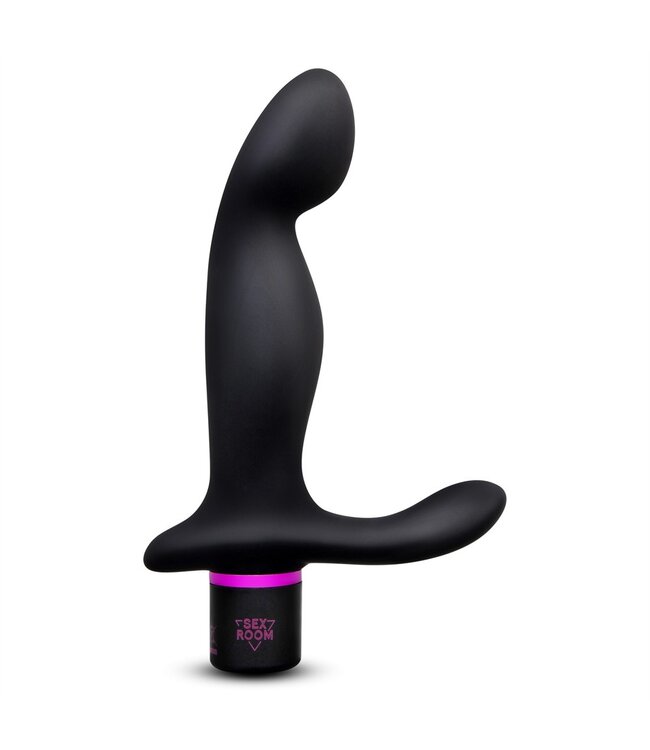 Dreamtoys SEX ROOM PROSTATE PLAY KIT